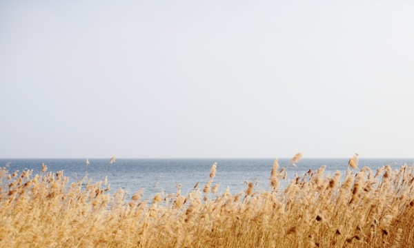 Il mare vicino a noi – il Lago Lemano