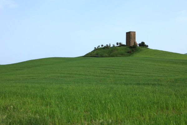 Pienza-Radicofani