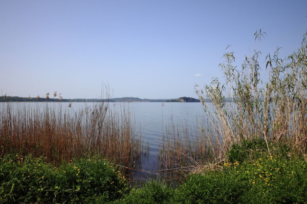 Bolsena-Marta