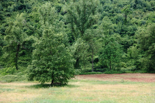 Près d’Alatri