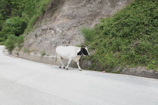 Serino-Montecovino Rovella