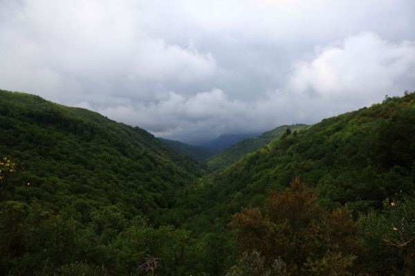 IMG_3760