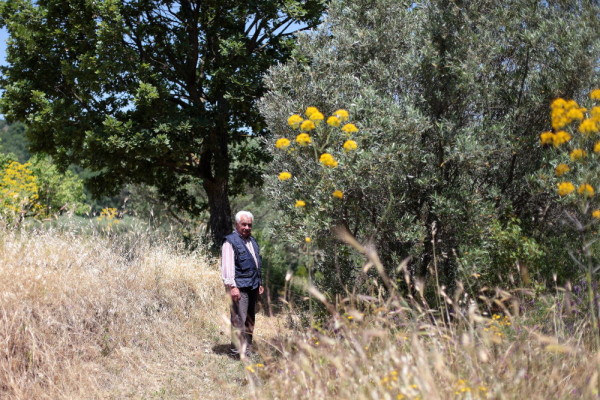 CALABRES ULTÉRIEURES